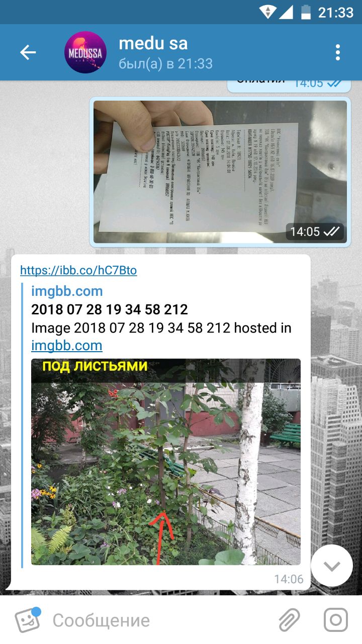 d088da69-215c-4798-84b5-33cc93802bcc.jpg