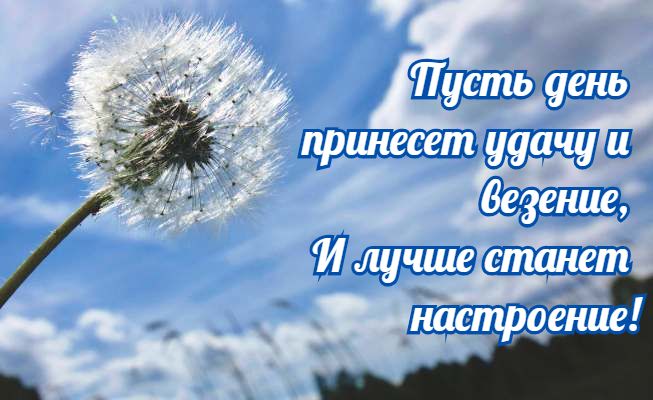 good_day_17.jpg