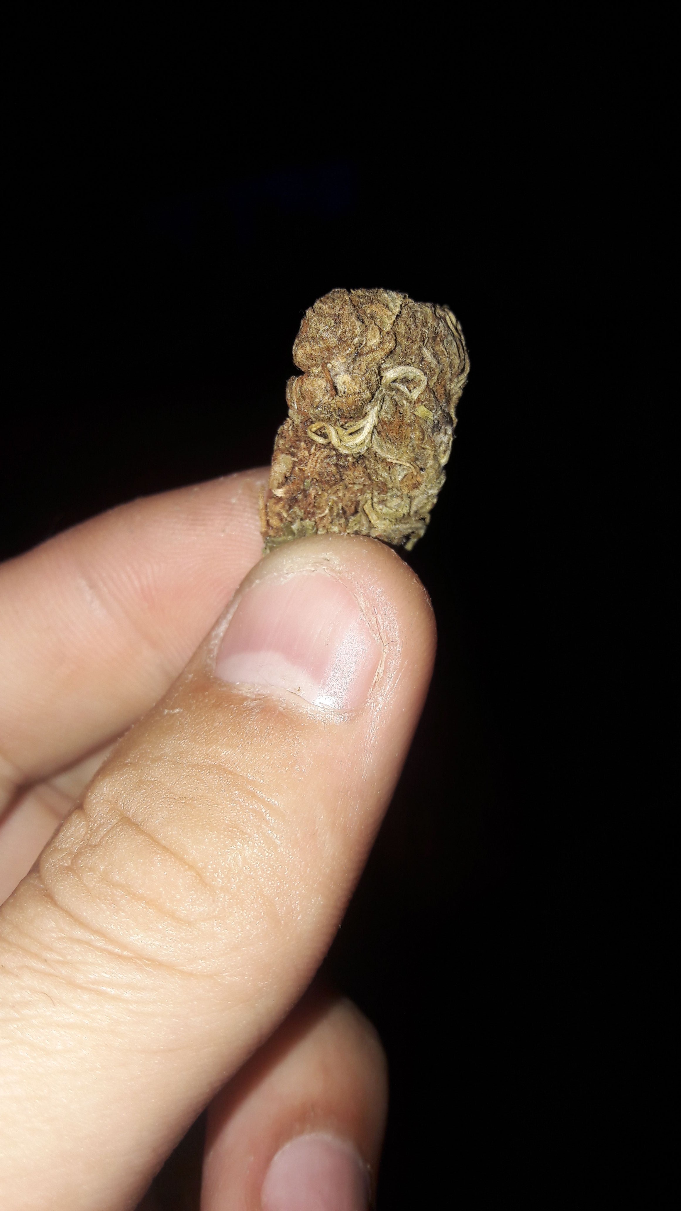 IMG-20190506-WA0006.jpeg