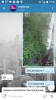 Screenshot_20180808-192818.png