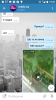 Screenshot_20180808-192811.png