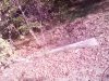 IMG_20191018_141605.jpg