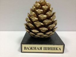 zaqqwerty
