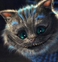 ROMIK1