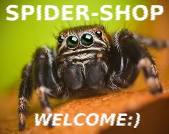 Spidershop