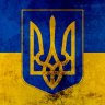 didan_chik