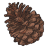 pinescc