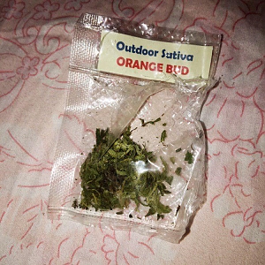 Orange Bud ๑☤☯L.E.S☮☤๑