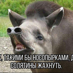 Photo_2020-06-05_08-09-18
