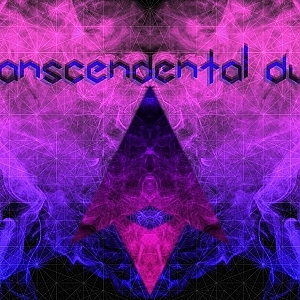Transcendental Dub [Best of Psydub Compilation Vol. 1]