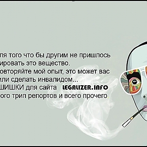 Трип репорт на Шишло для сайта legalizer.info - YouTube