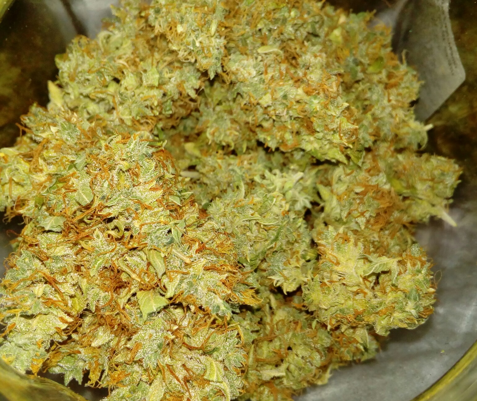 Шишка Элитная индор на огранике-Gorilla Glue 2