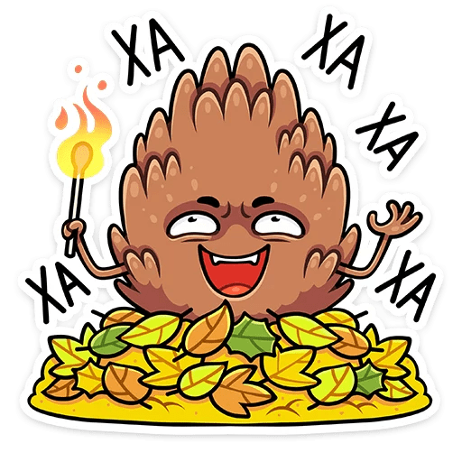 29