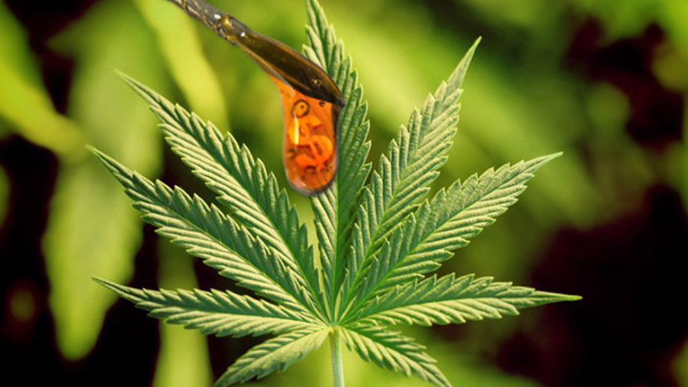CBD-oil-US