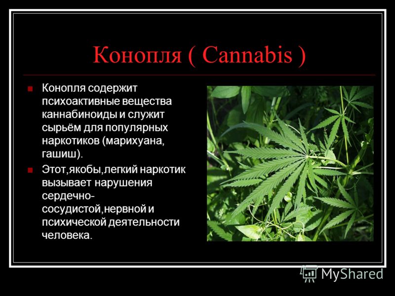 Slide_4