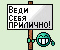 vedi_sebya_prilichno