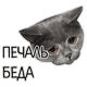 beduwkape4elj589493